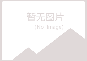 大连中山紫山服务有限公司